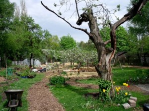 Naturräume gestalten • GeoSystemErde