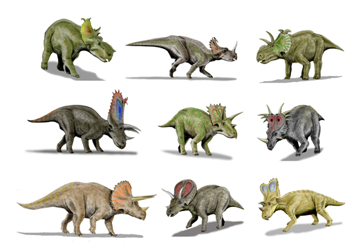 Ceratopsidaek GeoSystemErde